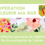 Opération « Fleurir ma Rue » 2022