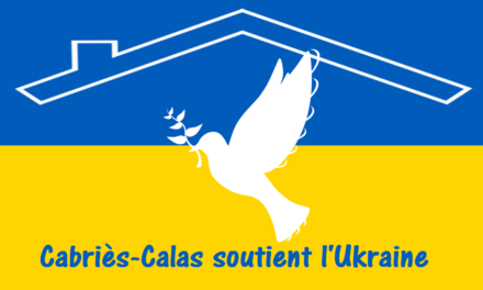 Aides aux ukrainiens déplacées et réfugiées