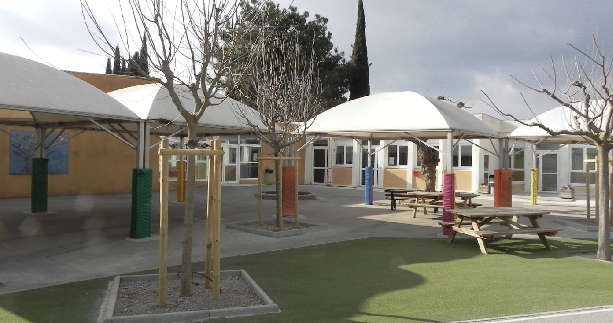 Un coin de verdure dans les écoles : les premiers arbres plantés dans les cours d’écoles de Cabriès