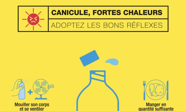 Les bons réflexes : canicule et fortes chaleurs