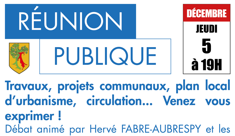 Réunion publique du 5 décembre 2019