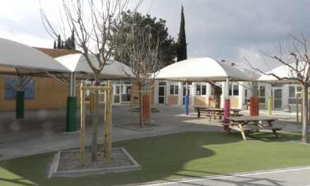 Un coin de verdure dans les écoles : les premiers arbres plantés dans les cours d’écoles de Cabriès