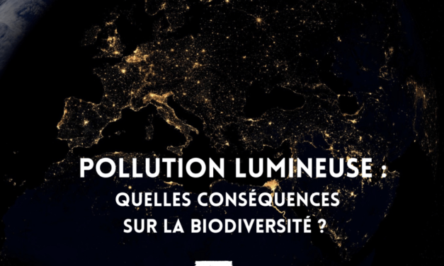 la pollution lumineuse et son impact sur la santé et la biodiversité