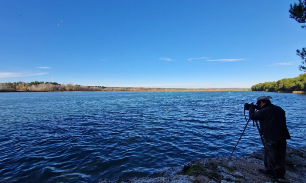 Journée mondiale des zones humides : découverte des oiseaux du bassin du Réaltor