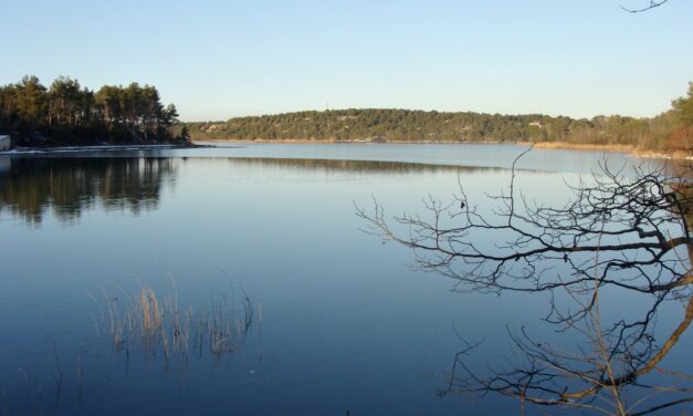 Découverte du bassin du Réaltor