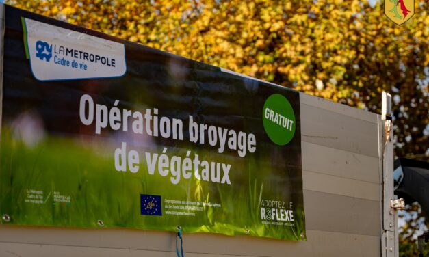 Opération broyage de végétaux