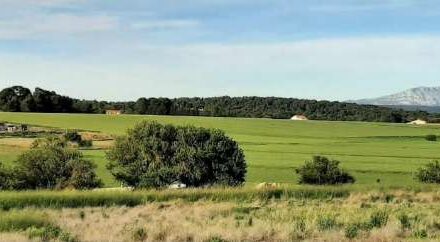 ENQUÊTE PUBLIQUE : ZONE AGRICOLE PROTÉGÉE 🌳