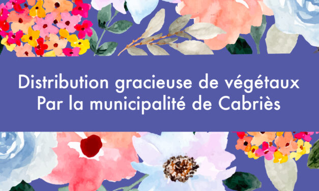 Opération « Fleurir ma Rue » 2025