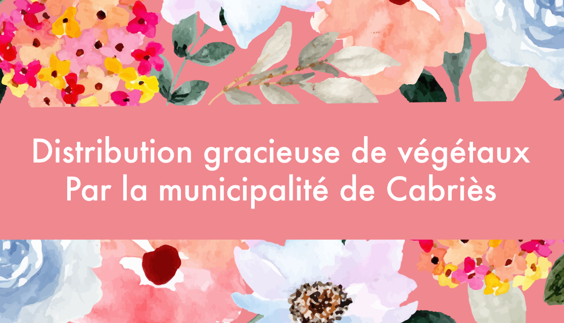 Opération « Fleurir ma Rue » 2026