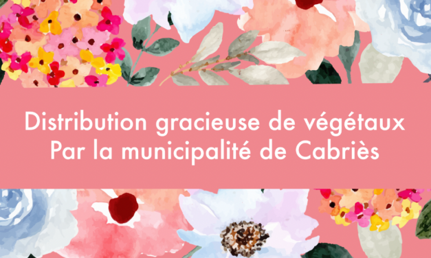 Opération « Fleurir ma Rue » 2026