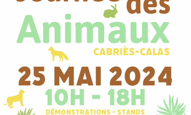 Journée des Animaux