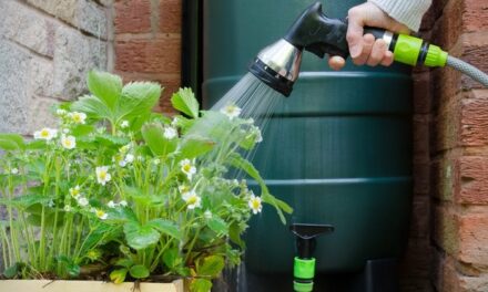 Aide financière pour l’achat d’une cuve à eau