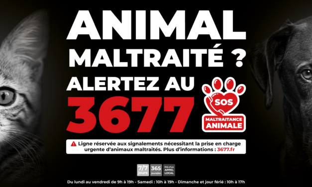 Protéger les animaux : un engagement fort