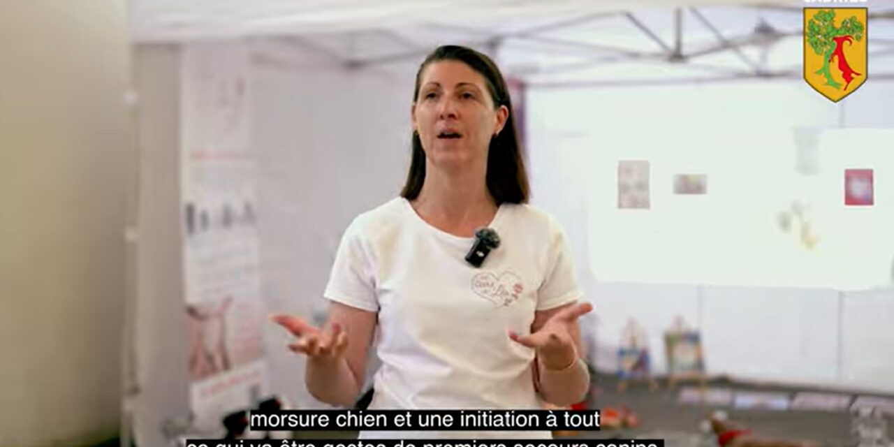 PROGRAMME PREVENTION MORSURE CHIEN