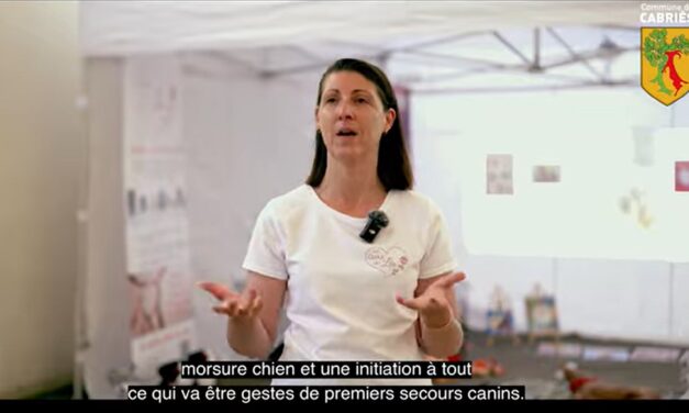 PROGRAMME PREVENTION MORSURE CHIEN