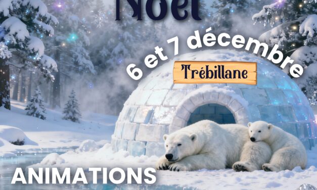 🎄 MARCHÉ DE NOËL 2025 À CABRIÈS-CALAS 🎅