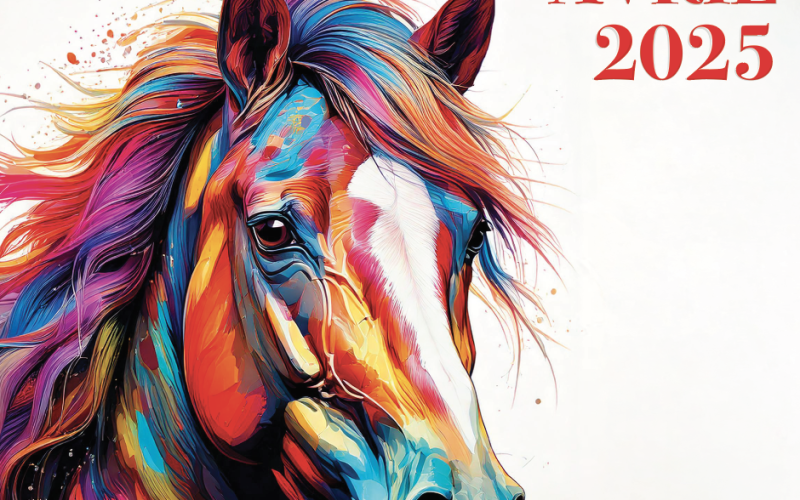 FÊTE DU CHEVAL LE 19, 20 ET 21 AVRIL 2025
