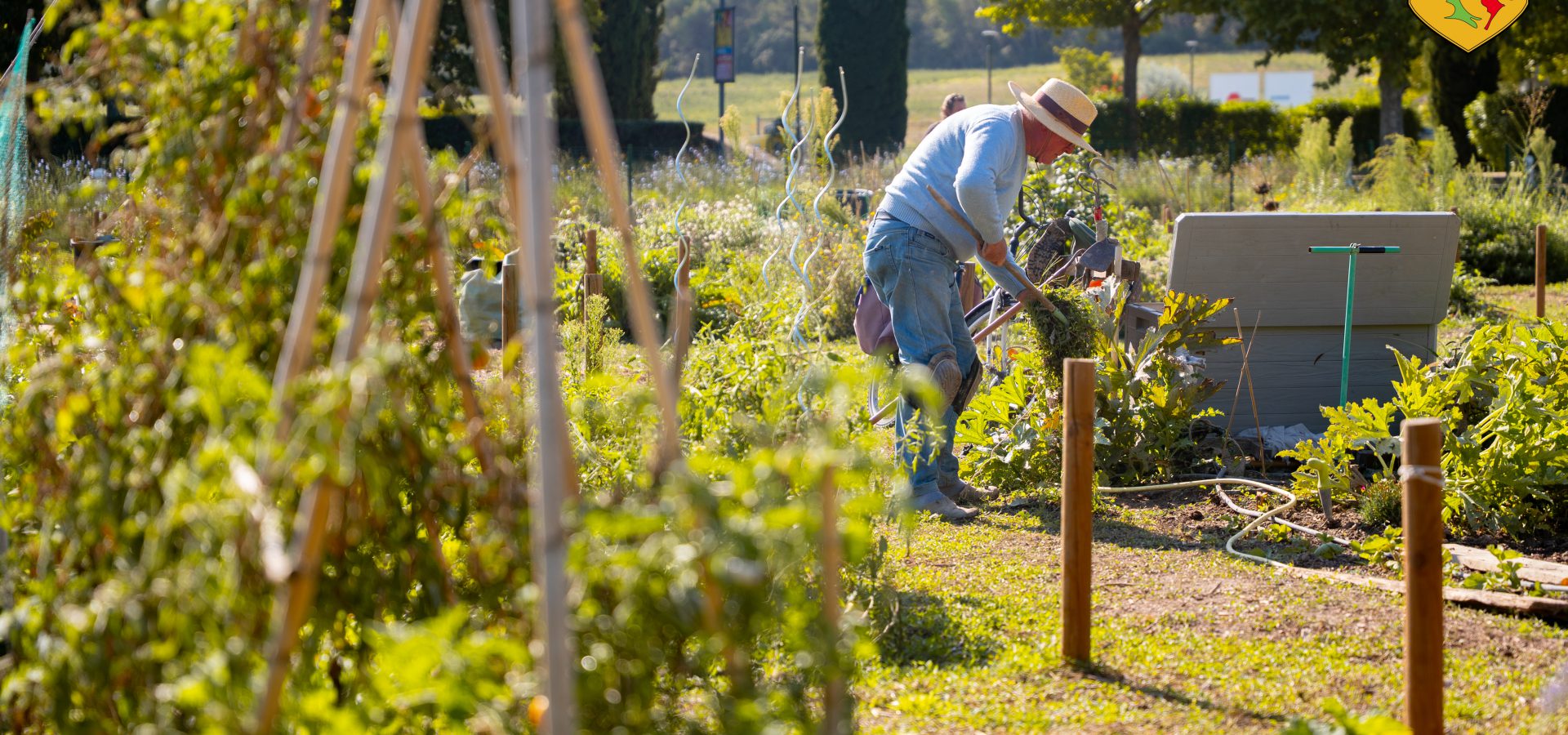 ☀️ L’ÉTÉ ARRIVE : C’EST LE MOMENT DE PRENDRE VOTRE PARCELLE AUX JARDINS PARTAGÉS !