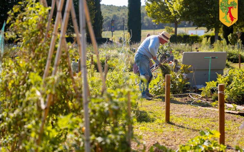 ☀️ L’ÉTÉ ARRIVE : C’EST LE MOMENT DE PRENDRE VOTRE PARCELLE AUX JARDINS PARTAGÉS !