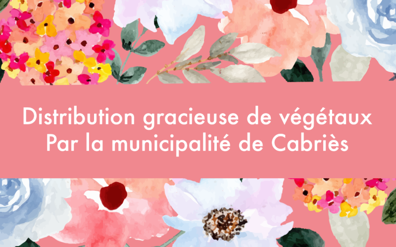 Opération « Fleurir ma Rue » 2026