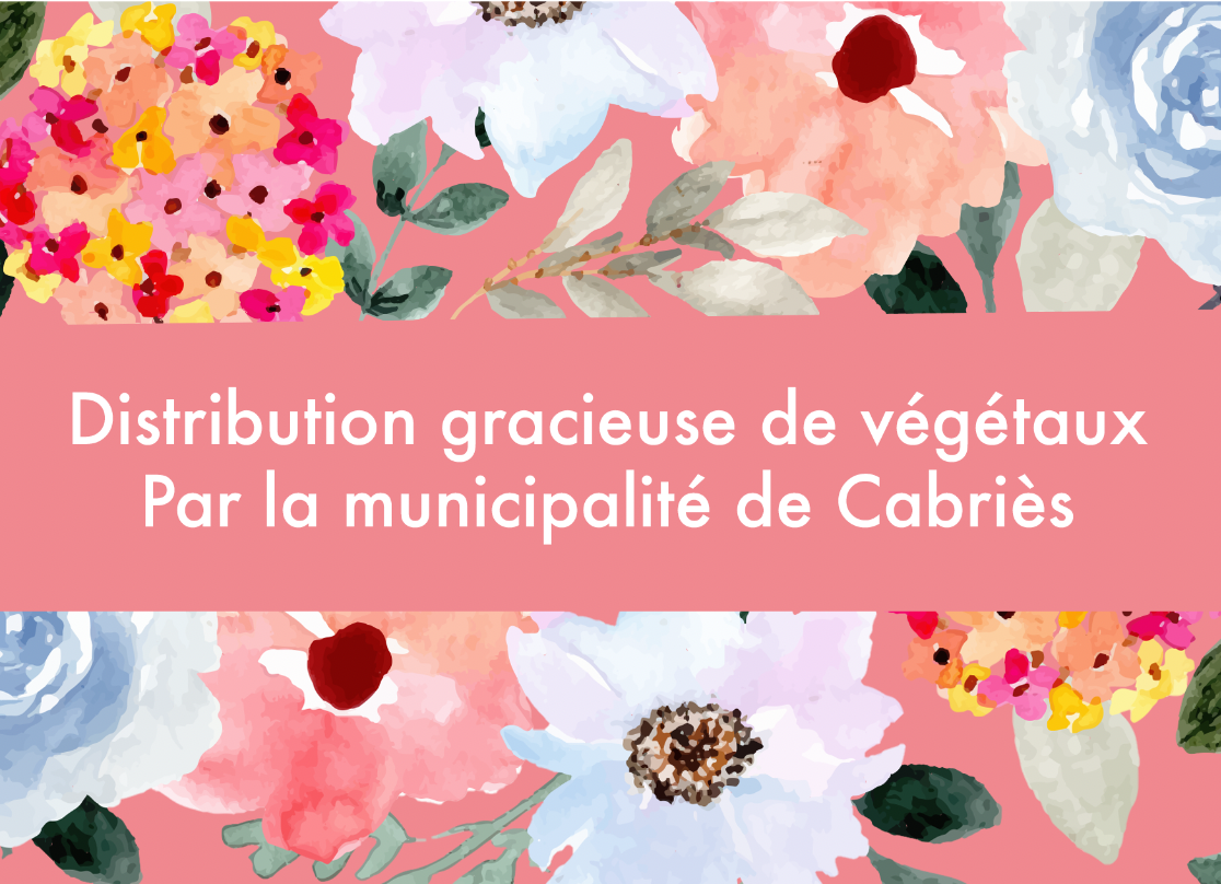 Opération « Fleurir ma Rue » 2026