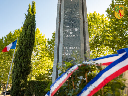 P1213241